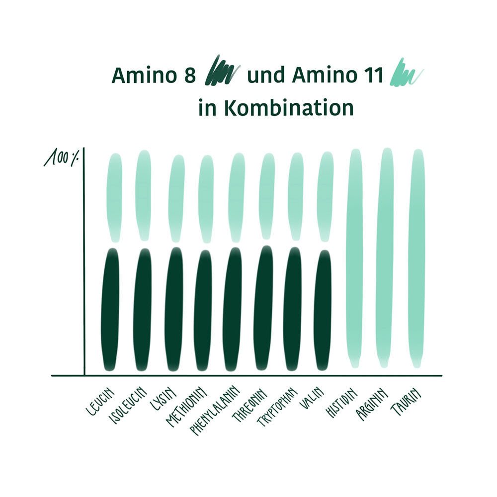 Amino 11 е хранителна добавка под формата на таблетки и съдържа осем незаменими аминокиселини, двете полуесенциални аминокиселини хистидин и аргинин, както и таурин, всички в чиста, кристална форма на растителна основа.