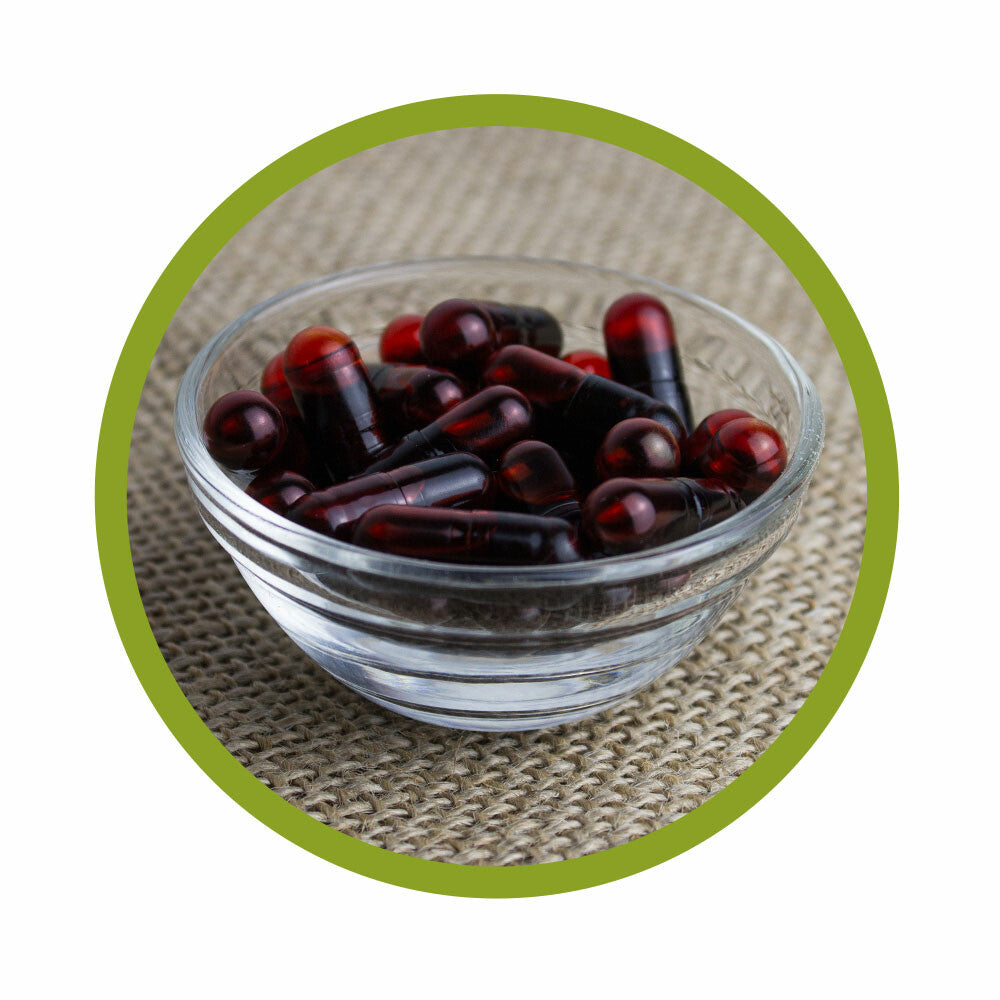 Органичен Aстаксантин (Astaxanthin) на капсули 60 броя по 12 mg vitalundfitmit100. Завинаги Здрав ООД. Органичният астаксантин се получава чрез култивиране на микроводорасли, по-специално на вида Haematococcus pluvialis. Това е естествен източник на астаксантин, който е каротеноид. Благодарение на щадящия метод на екстракция органичният астаксантин впечатлява не само с високата си чистота, но и със запазената си ефективност като мощен антиоксидант.