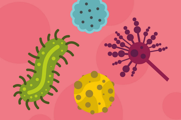 Как да се защитим от опортюнистичните (спящи) микроби?!