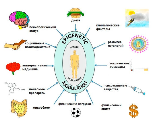 Епигенетиката е лична отговорност!