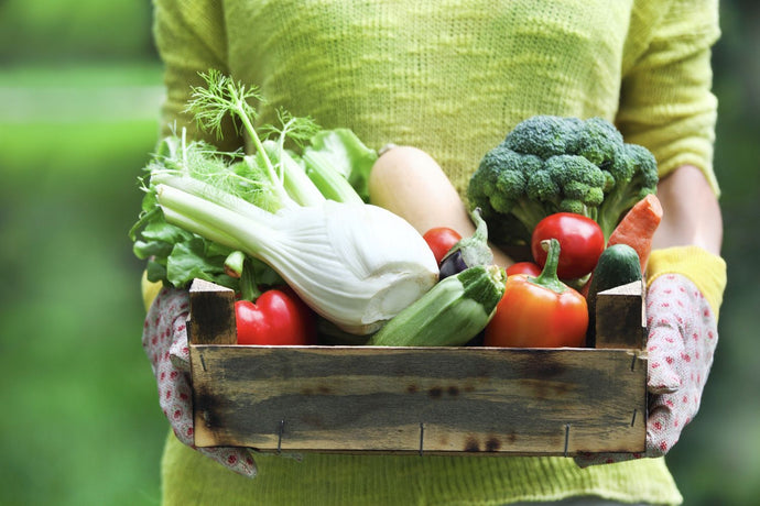 Защо да консумираме повече зеленчуци?