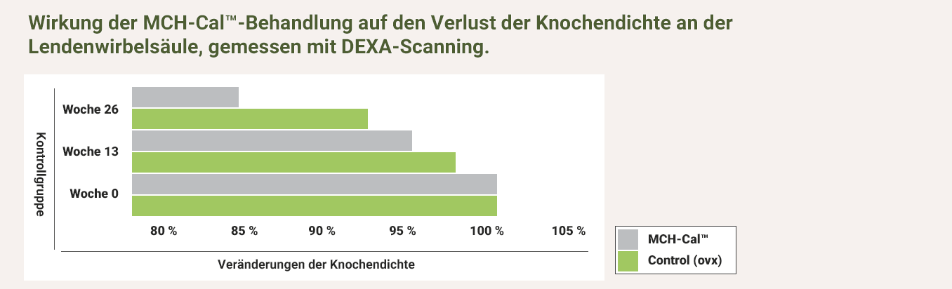 Ефект на MCH-Cal върху костната плътност - DEXA сканиране